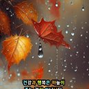 갤럭시 S22 또는 S23 휴대폰구합니다. 이미지
