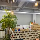 원킬쇼핑 이미지