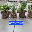 에스씨파트너즈