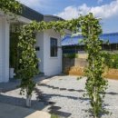 호피홀리데이 이미지