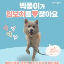 빅콩