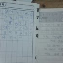 국가대표 타이거 태권스쿨 이미지