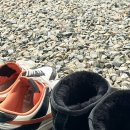 히든캠프 이미지