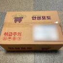 비타민농산물도소매 | [과일 택배주문] 산지직송 고당도 안성 프리미엄 거봉 | 원씽프레시