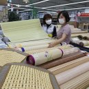 꿀잠자리 이미지