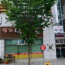 팀라이거복싱 이미지