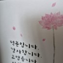 사무량심 사섭법 수행자로 뚜벅뚜벅 불교세상과 걷고있다! 이미지