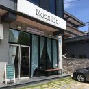 사파동127 이미지