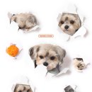 장신대역 이미지