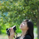 물안개 피는 마을,들꽃향기 이미지