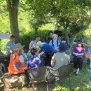 황룡뿌리(흑염소농장) 이미지