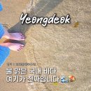 고래불 | 경상도 여름 여행지 추천 물맑은 영덕 고래불해수욕장 방문후기 및 사용료