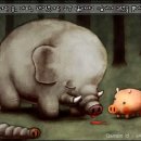 돼지사랑 이미지