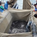 기선권현망수산업협동조합(멸치권현망수협) 이미지