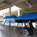 뎃생 수채화 이미지