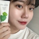 요즘 잇템, 성분에 자신 있는 셀어스 병풀자생크림 사용 후기