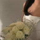 플레타플레르