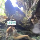 팀레온 | 보홀안다투어 재방문 후기 | 존슨동굴 비밀스팟부터 나투어 만의 색다른 포인트, 원조 안다투어...