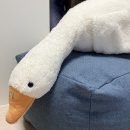 온리누스 이미지