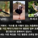 미인창조 네이버블로그