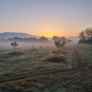 양일농장 이미지