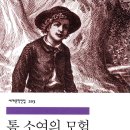 톰소여의모험 이미지