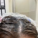 1회 케어로도 손상된 머리가 확실하게게 복구되는 아우라제이미용실 오산대역점 프리미 클리닉 시술후기
