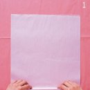 White Pom Pom 이미지