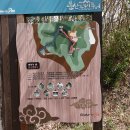 분산스카이투어 이미지