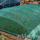 방죽골농장 이미지