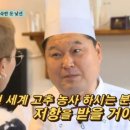 호동이 TV리포트