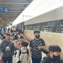 용인대 리더 태권도 이미지