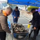 삼계면새마을부녀회 | 전남 무안가볼만한곳 겨울숭어축제 2026 주차장 먹거리 공연 여행