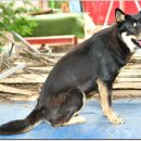 광탄한의원 이미지