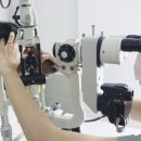 메이플 동물의료센터 이미지