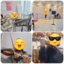 라라스즈키바이올린