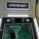 평리상회 이미지