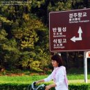 맘에드는광고