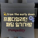 디얼리 | from the early dawn 💫 프롬디얼리던 패딩 일기 가방 💕 화이트크림 🫧🩷❤️ 구입후기