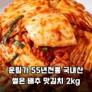 행복한맛김치 | 김치 유목민 정착기! 운림가 55년 전통 썰은 배추김치 내돈내산 후기