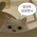 늘;예쁘게 이미지