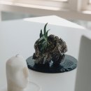 블랙스톤 이미지