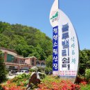 청향소림산장 네이버블로그