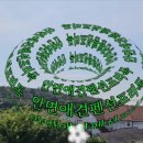 안면애견펜션프리독 이미지