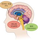 리틀지니어스 외국어학원