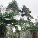 카페피씨후 성건점 | 경주 대형카페ㅣ현곡 소디스커피ㅣ제주도 감성 🌴