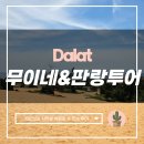 성광목장2 | 베트남 달랏에서 즐기는 무이네 판랑 투어(지프투어 포함)