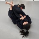 파라에스트라전하