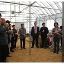 웰빙농장 이미지