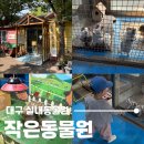 수성랜드 | 대구 아기랑 가볼만한 곳 실내동물원 수성랜드 작은동물원 솔직 방문 후기